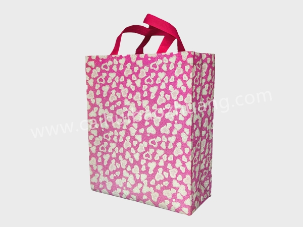 彩匯包裝  外貿訂單手提袋  環保手提袋